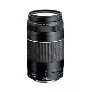 Canon EF 75-300mm Black Lens